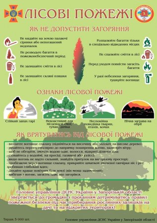 Бережіть ліс від вогню! Бережіть ліс від вогню!