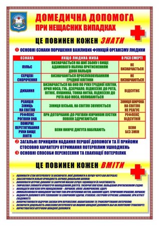 Домедична допомога при нещасних випадках Домедична допомога при нещасних випадках