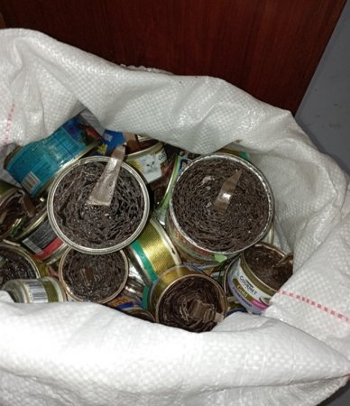 ������ �����