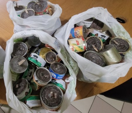 ������ �����